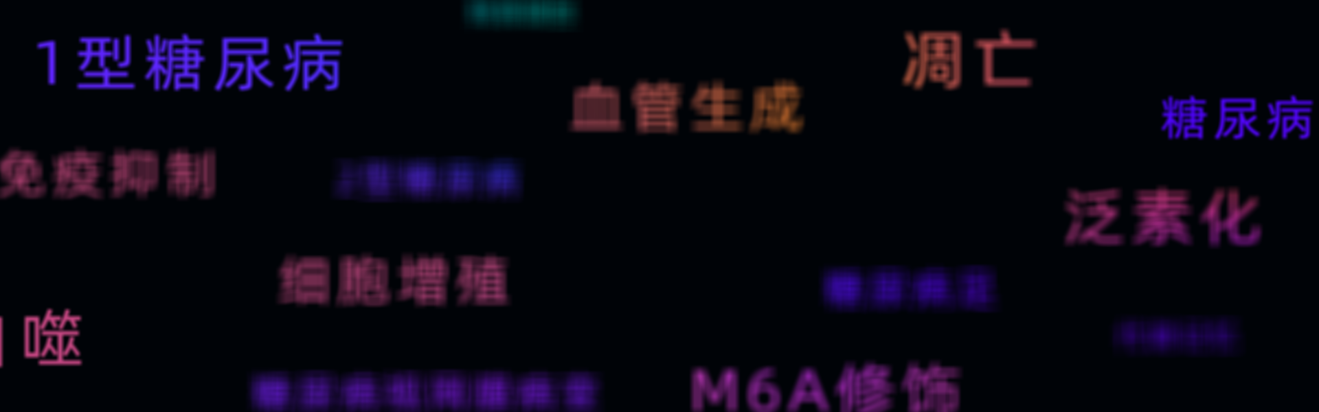 基金分析报告